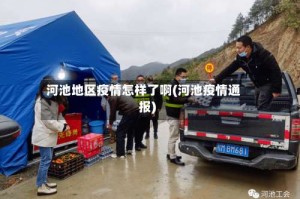 河池地区疫情怎样了啊(河池疫情通报)