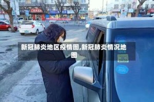 新冠肺炎地区疫情图,新冠肺炎情况地图