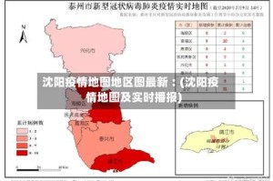 沈阳疫情地图地区图最新︰(沈阳疫情地图及实时播报)
