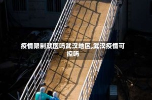 疫情限制就医吗武汉地区,武汉疫情可控吗
