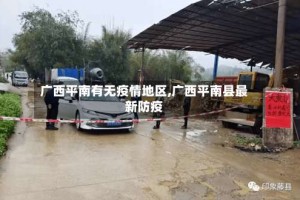 广西平南有无疫情地区,广西平南县最新防疫