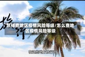 怎样查地区疫情风险等级/怎么查地区疫情风险等级