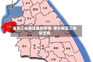 浦东三林地区最新疫情-浦东新区三林镇全图