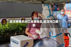 武汉疫情的对口支援地区,武汉对口援助