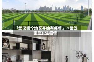 「武汉哪个地区开始有疫情」〃武汉哪里发生疫情