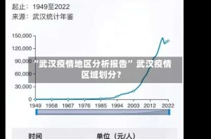 “武汉疫情地区分析报告” 武汉疫情区域划分？