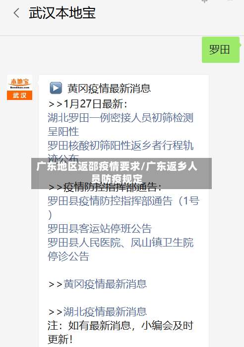 广东地区返邵疫情要求/广东返乡人员防疫规定-第2张图片