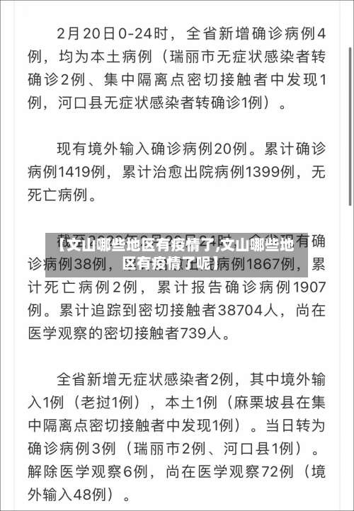 【文山哪些地区有疫情了,文山哪些地区有疫情了呢】-第2张图片