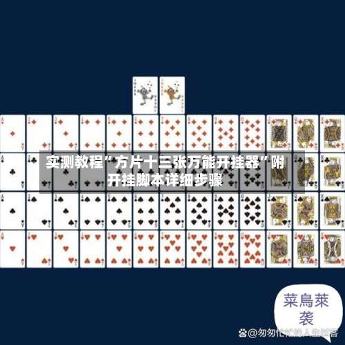 实测教程”方片十三张万能开挂器”附开挂脚本详细步骤-第2张图片