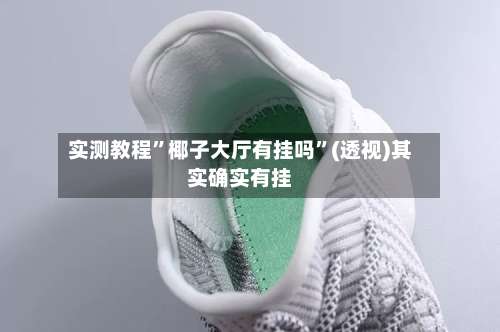 实测教程”椰子大厅有挂吗”(透视)其实确实有挂-第2张图片
