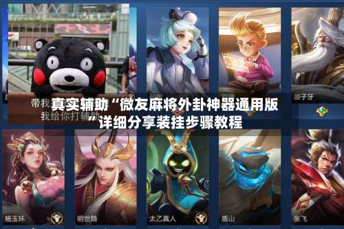 真实辅助“微友麻将外卦神器通用版	”详细分享装挂步骤教程-第2张图片