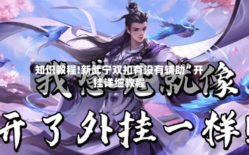 知识教程!新武宁双扣有没有辅助”开挂详细教程-第1张图片