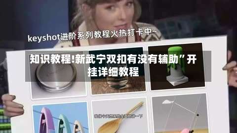 知识教程!新武宁双扣有没有辅助	”开挂详细教程-第2张图片