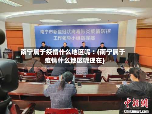 南宁属于疫情什么地区呢︰(南宁属于疫情什么地区呢现在)-第2张图片