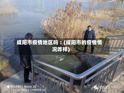 咸阳市疫情地区吗︰(咸阳市的疫情情况咋样)-第2张图片