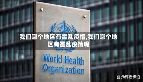 我们哪个地区有霍乱疫情,我们哪个地区有霍乱疫情呢-第2张图片