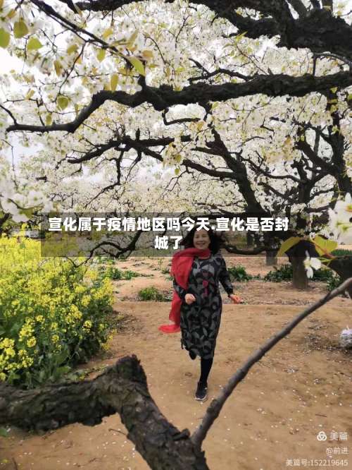 宣化属于疫情地区吗今天.宣化是否封城了-第2张图片