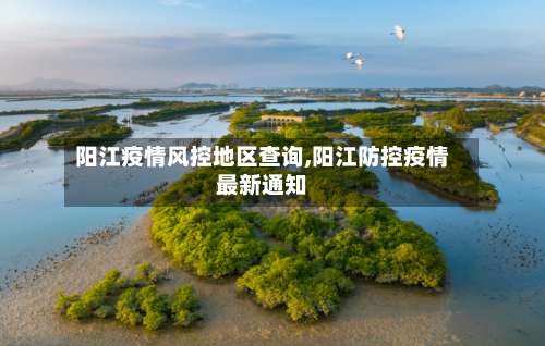 阳江疫情风控地区查询,阳江防控疫情最新通知-第2张图片