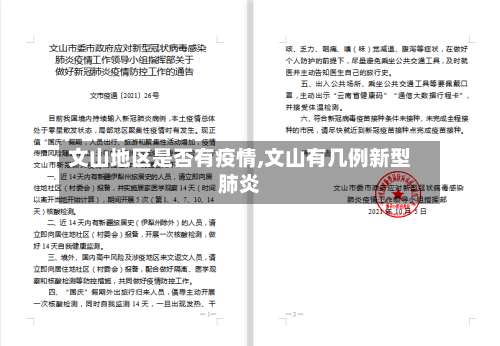 文山地区是否有疫情,文山有几例新型肺炎-第3张图片