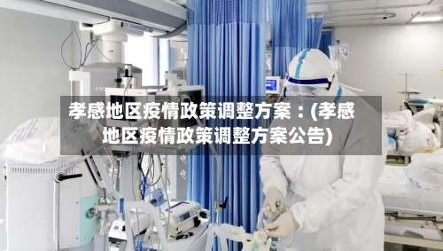 孝感地区疫情政策调整方案︰(孝感地区疫情政策调整方案公告)-第2张图片