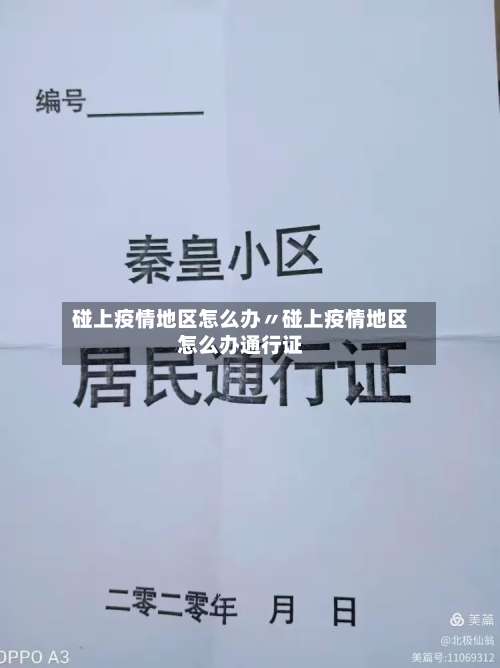 碰上疫情地区怎么办〃碰上疫情地区怎么办通行证-第1张图片
