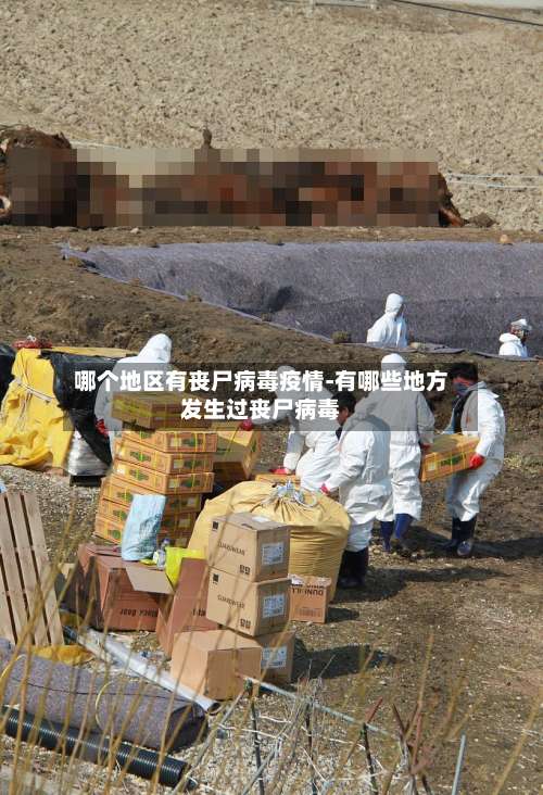 哪个地区有丧尸病毒疫情-有哪些地方发生过丧尸病毒-第2张图片