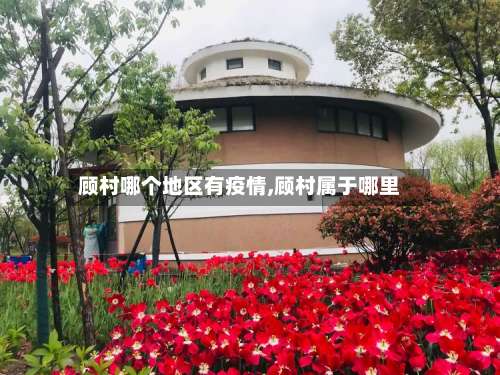 顾村哪个地区有疫情,顾村属于哪里-第3张图片