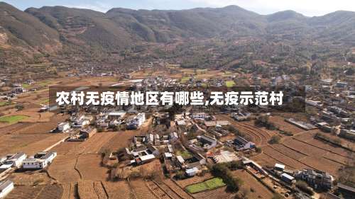 农村无疫情地区有哪些,无疫示范村-第3张图片