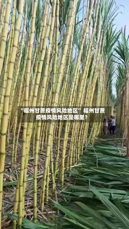 “福州甘蔗疫情风险地区” 福州甘蔗疫情风险地区是哪里？-第1张图片