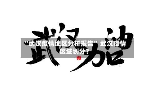 “武汉疫情地区分析报告	” 武汉疫情区域划分？-第2张图片