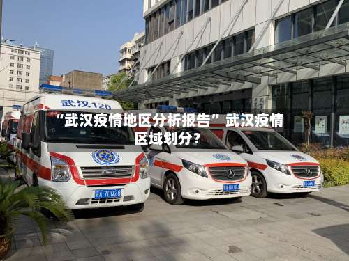 “武汉疫情地区分析报告” 武汉疫情区域划分？-第3张图片
