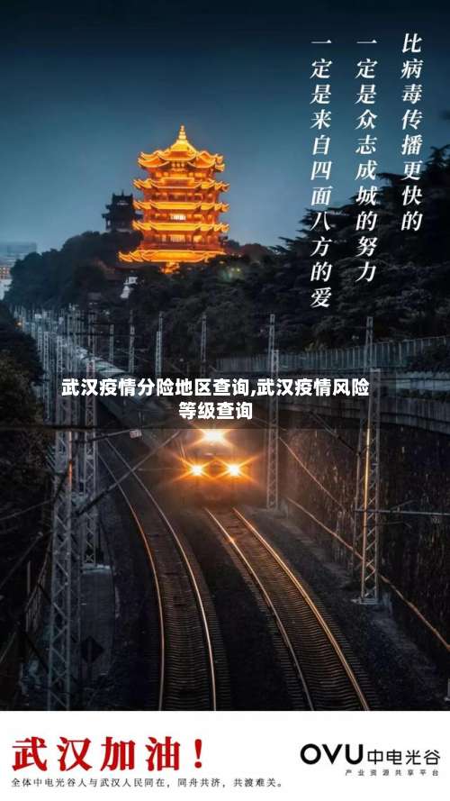 武汉疫情分险地区查询,武汉疫情风险等级查询-第2张图片