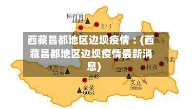 西藏昌都地区边坝疫情︰(西藏昌都地区边坝疫情最新消息)-第1张图片