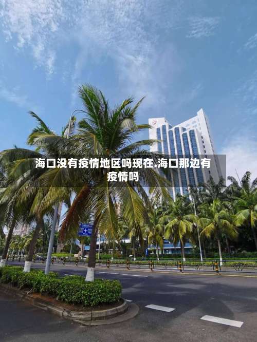 海口没有疫情地区吗现在.海口那边有疫情吗-第3张图片