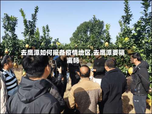 去鹰潭如何报备疫情地区,去鹰潭要隔离吗-第3张图片