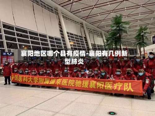 襄阳地区哪个县有疫情-襄阳有几例新型肺炎-第2张图片