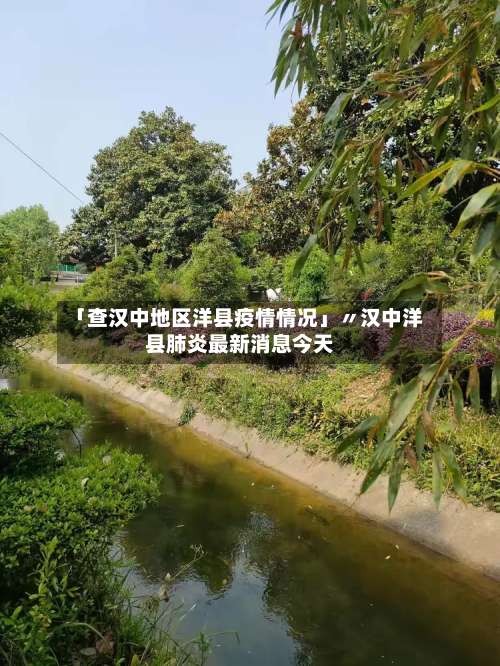 「查汉中地区洋县疫情情况」〃汉中洋县肺炎最新消息今天-第1张图片