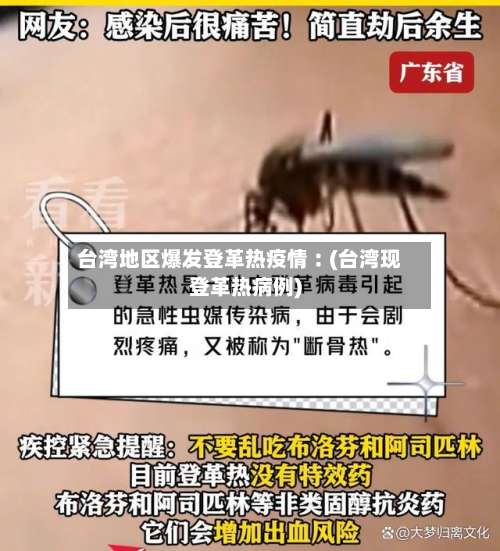 台湾地区爆发登革热疫情︰(台湾现登革热病例)-第2张图片