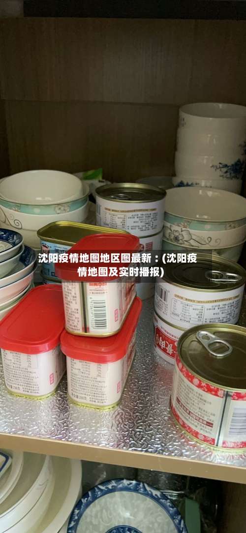 沈阳疫情地图地区图最新︰(沈阳疫情地图及实时播报)-第2张图片