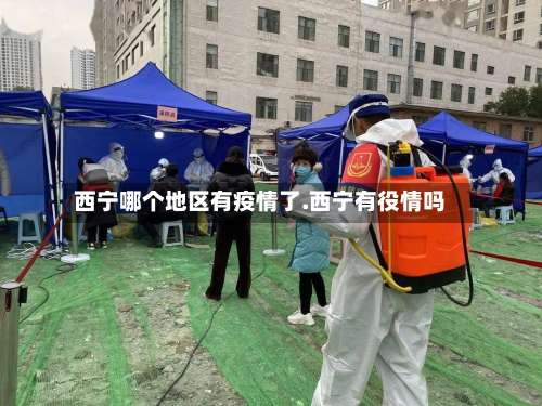 西宁哪个地区有疫情了.西宁有役情吗-第2张图片