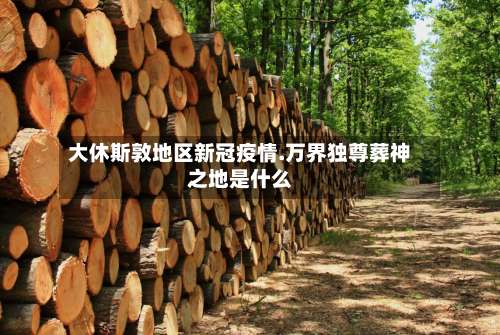 大休斯敦地区新冠疫情.万界独尊葬神之地是什么-第1张图片