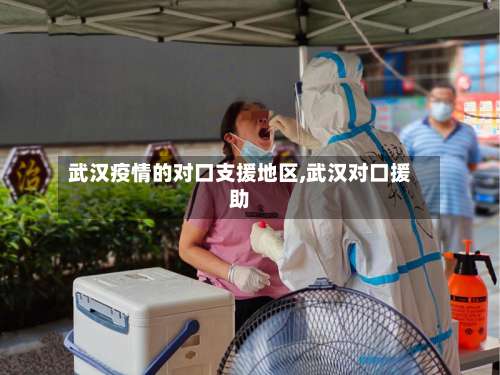 武汉疫情的对口支援地区,武汉对口援助-第1张图片